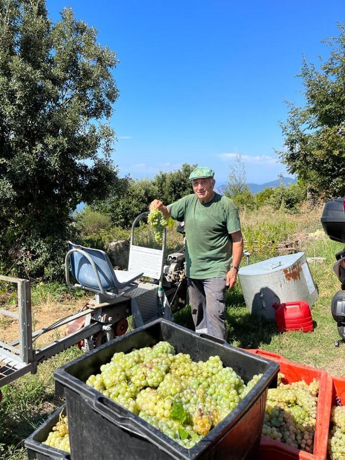 I Tre Grappoli Villa Corniglia Luaran gambar