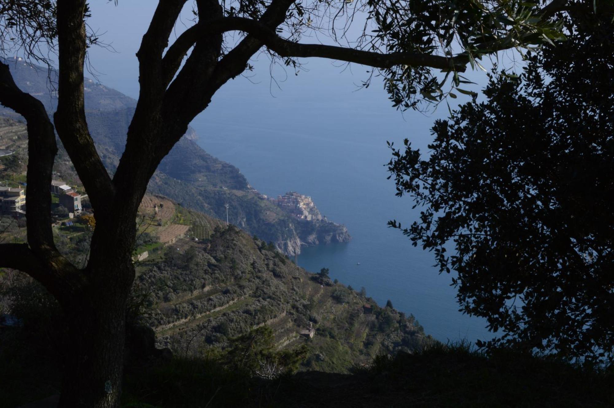 I Tre Grappoli Villa Corniglia Luaran gambar