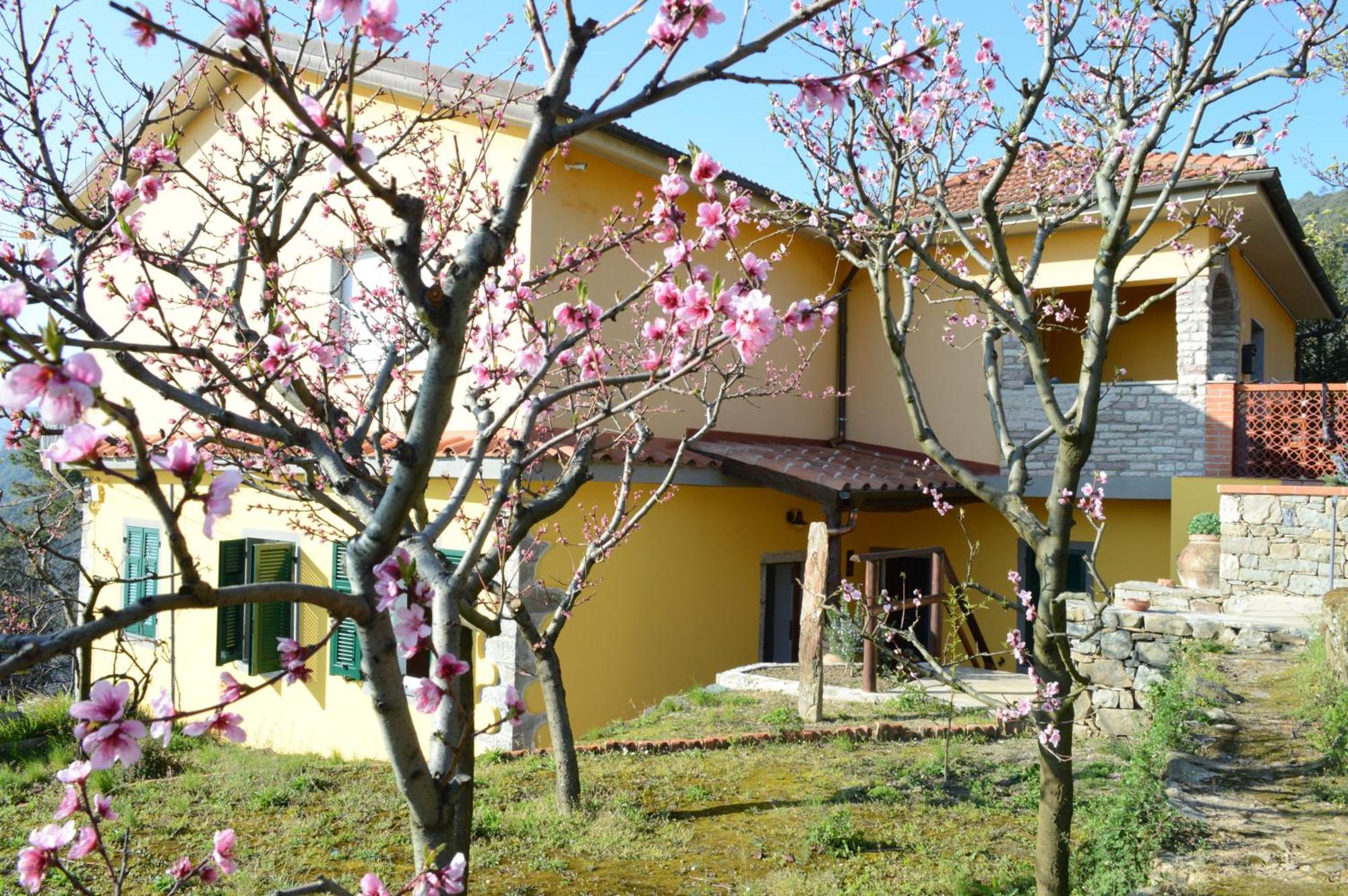 I Tre Grappoli Villa Corniglia Luaran gambar