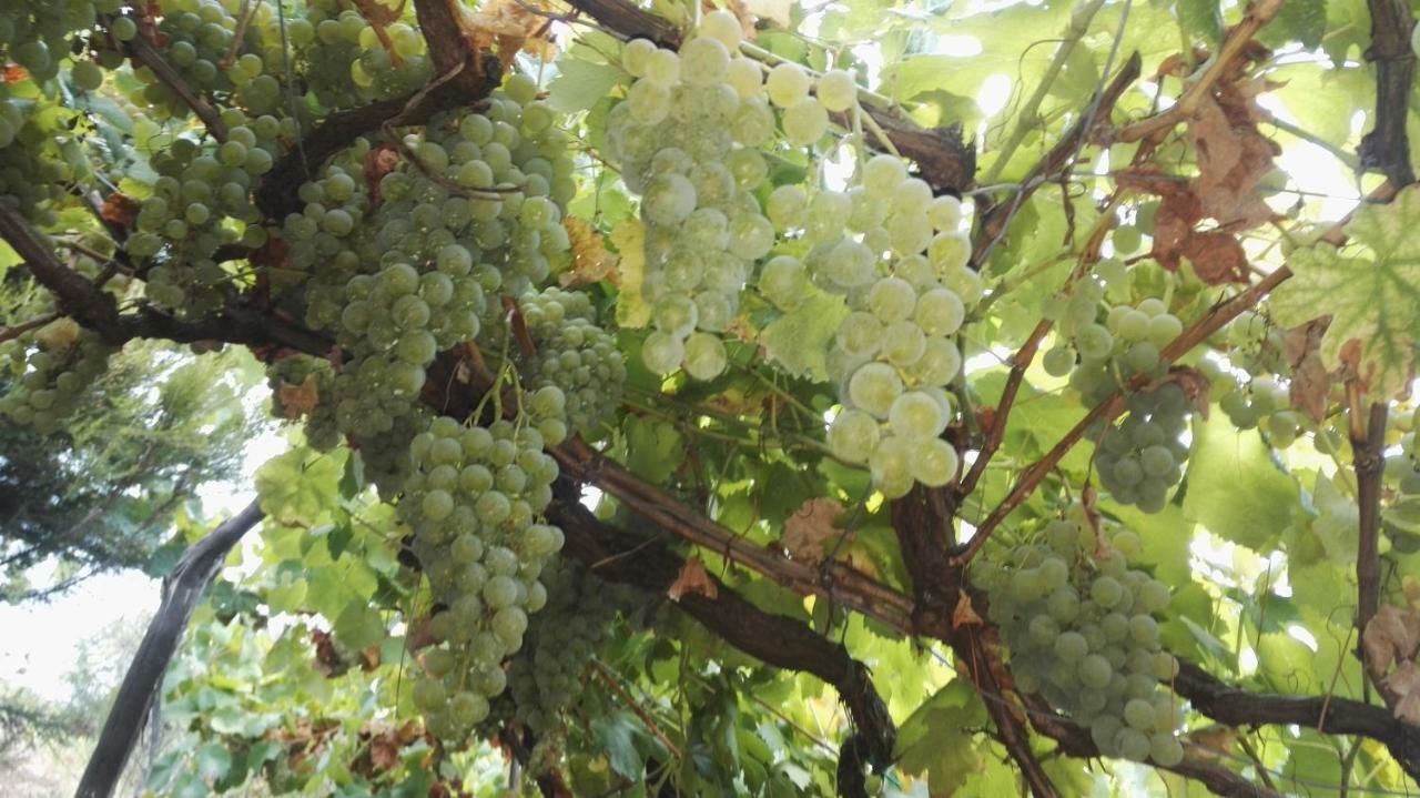 I Tre Grappoli Villa Corniglia Luaran gambar