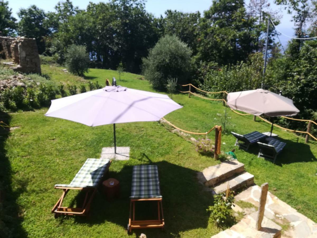 I Tre Grappoli Villa Corniglia Luaran gambar