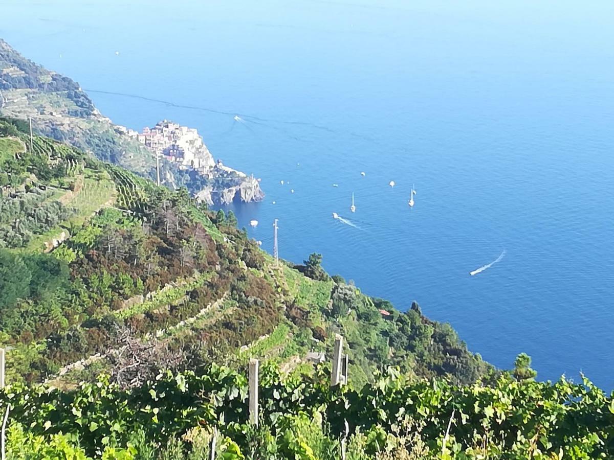 I Tre Grappoli Villa Corniglia Luaran gambar